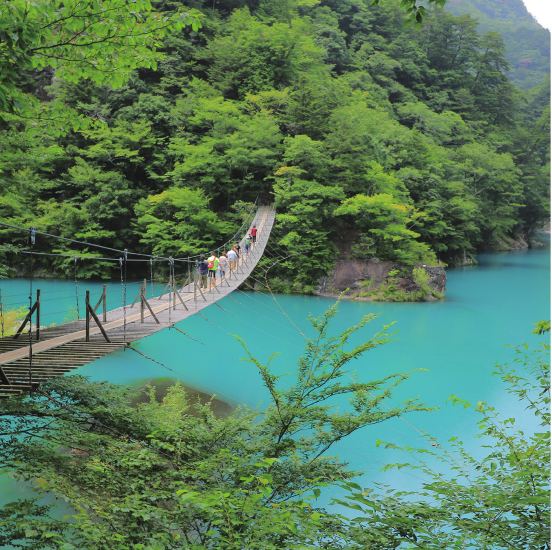 夢のつり橋